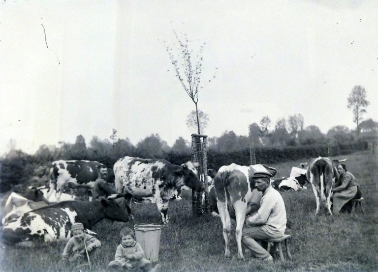 ZelP1190391.jpg