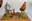 Figurines F. BREE-00041.jpeg