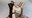IMG_3809.jpeg