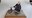 IMG_3812.jpeg