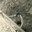 Service militaire 1968 - Albert Mager015.jpg
