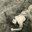 Service militaire 1968 - Albert Mager021.jpg