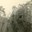 Service militaire 1968 - Albert Mager023.jpg