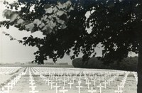 Le cimetière américain de Henri-Chapelle en juillet 1945