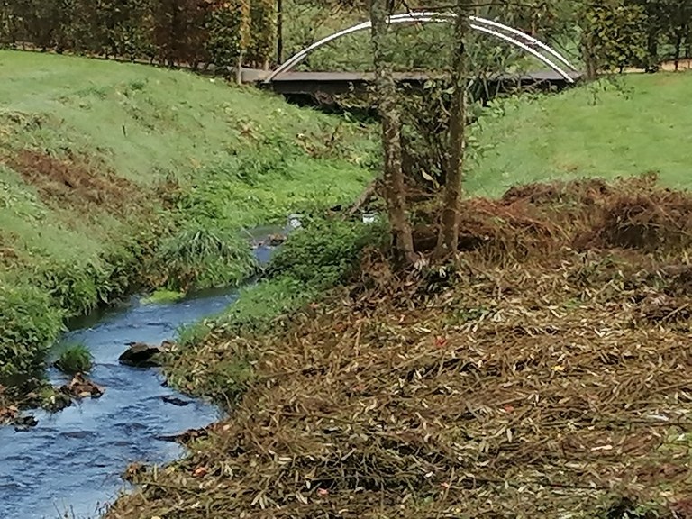 12 Patrimoine la Bel Pont Berges de la Bel 2022 - Philippe Haccour (14).jpg