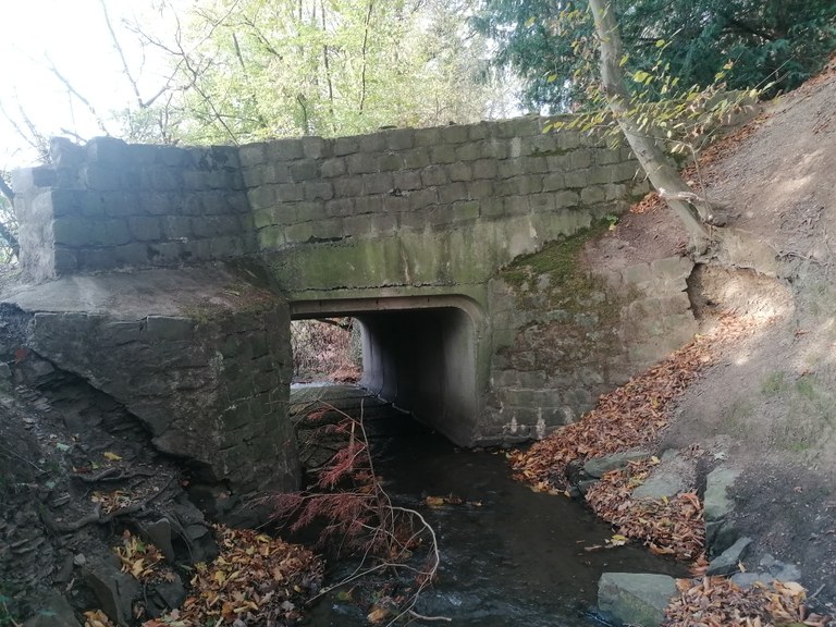 14Patrimoine la Bel Pont étang Val-Dieu 2022 - Philippe Haccour (4).jpg