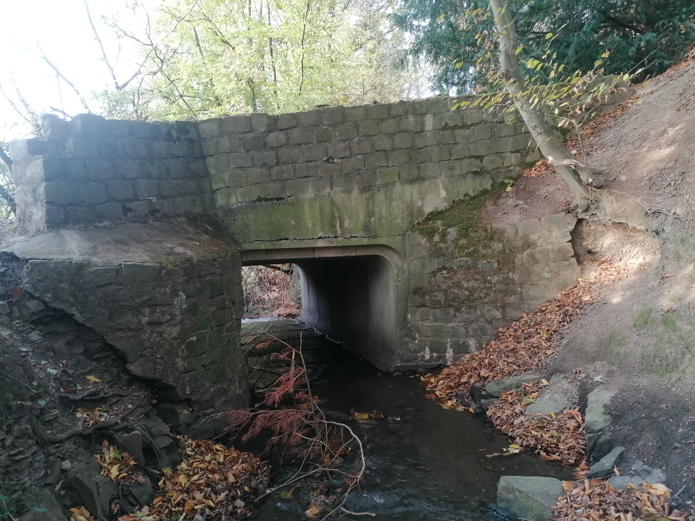 14Patrimoine la Bel Pont étang Val-Dieu 2022 - Philippe Haccour (4).jpg