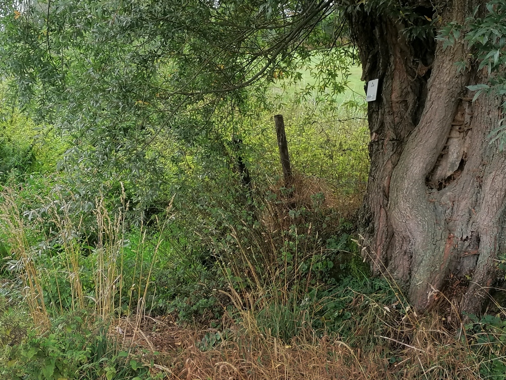 2 Patrimoine Source de la Bel 2022 - Philippe Haccour 003.jpg
