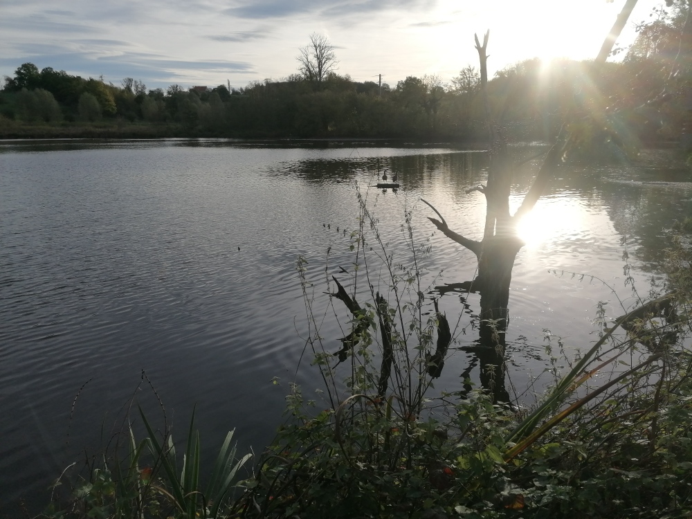 26 Patrimoine la Bel Etang moulin Val-Dieu 2022 - Philippe Haccour (10).jpg