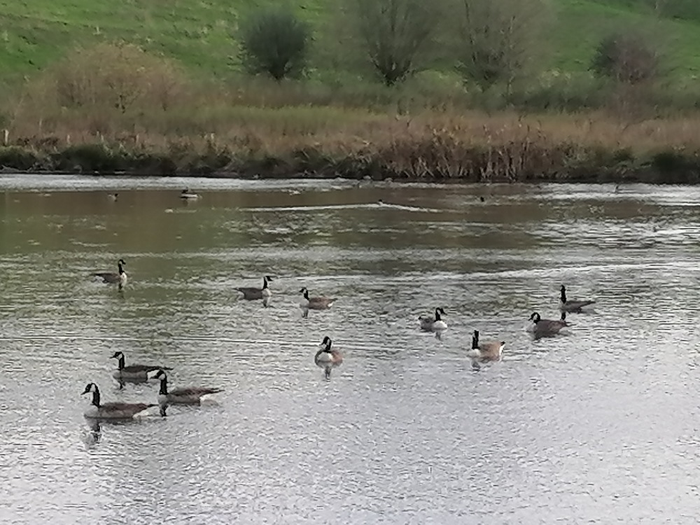 27 Patrimoine la Bel Etang moulin Val-Dieu 2022 - Philippe Haccour (20).jpg