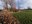 Patrimoine Mare Himmerich 2023 - Philippe Haccour003.jpg
