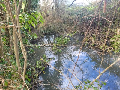 Mare à la Bushaye