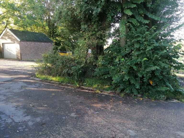 Patrimoine Mare Lammerschot 2022 - Philippe Haccour003.jpg