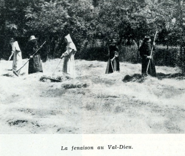 Publication Dans le lien de la paix Abbaye Val-Dieu XXXX - René Leuther009.jpg