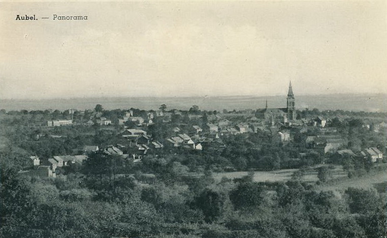 CP Panorama XXXX - Brée Fernand (26).jpg
