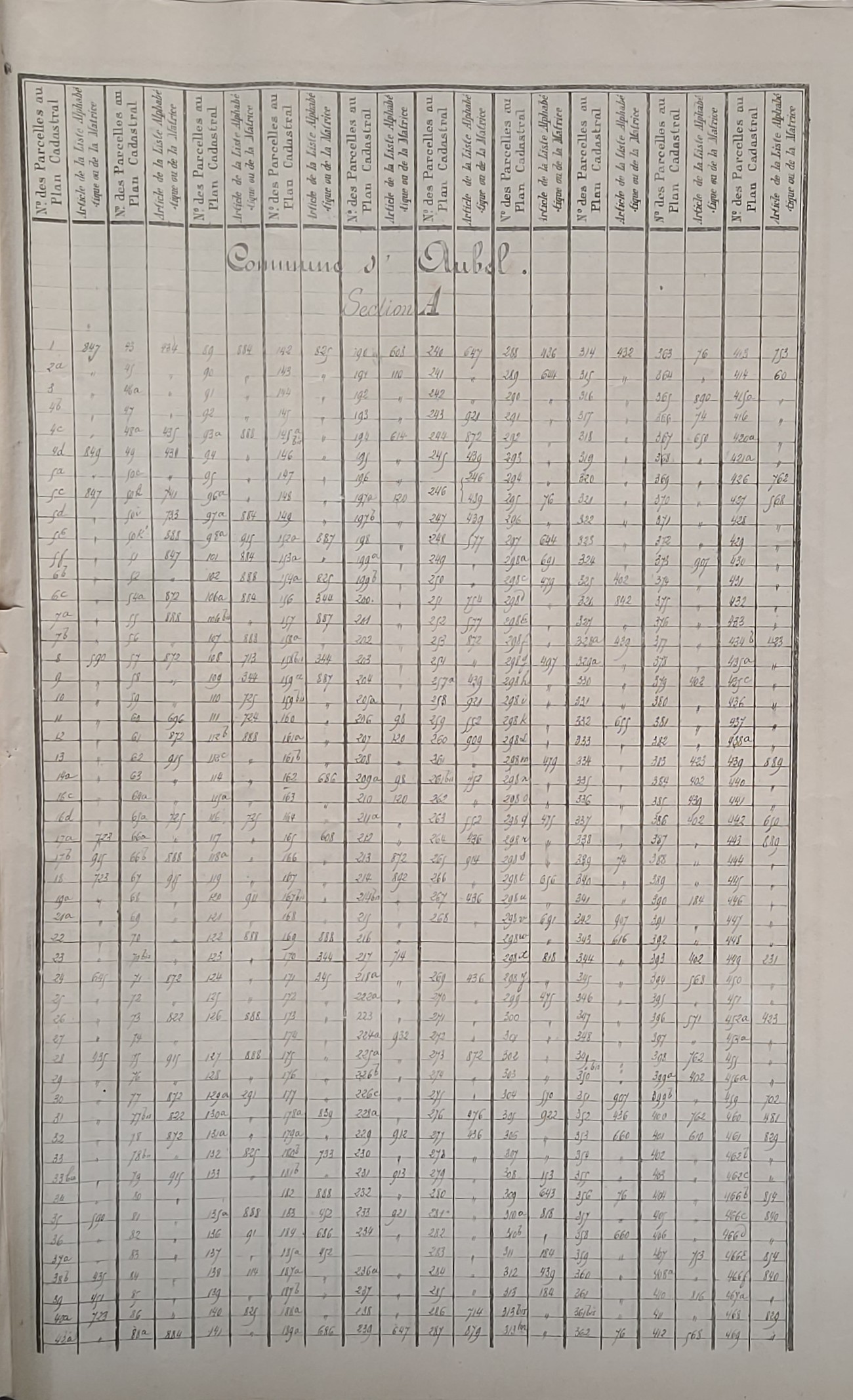 20250804_175531.jpg