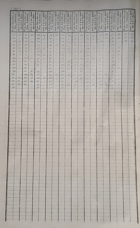 20250804_175643.jpg