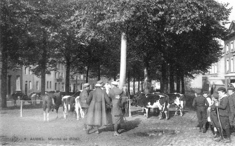 Marché au bétail