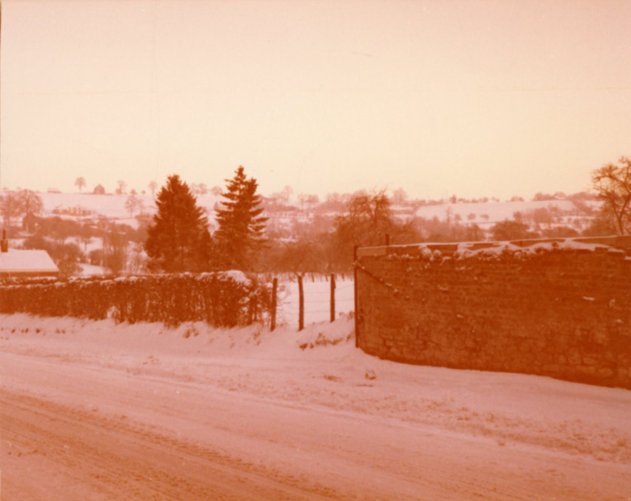 Zelrue de la Bel 1979 - Roger Lambiet001 (4).jpg