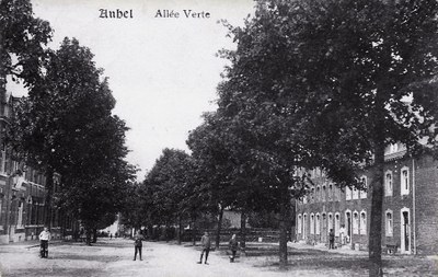 La rue de la Bel bordée d'arbres