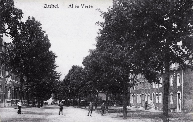 La rue de la Bel bordée d'arbres