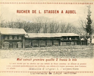 Rucher rue de la Kan