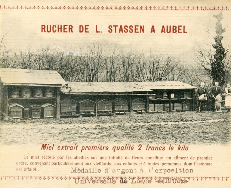 Rucher rue de la Kan