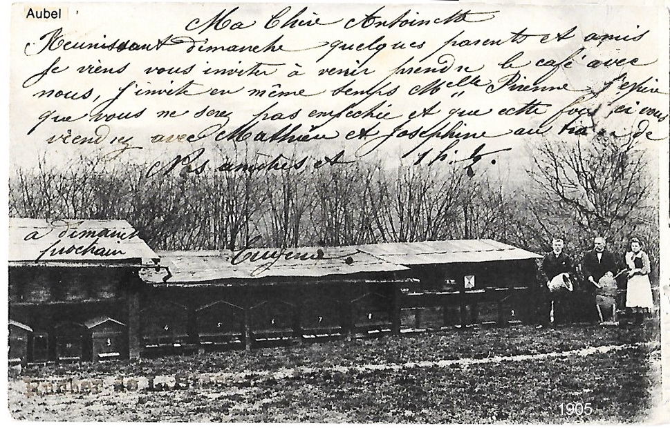 CP Ruches de L.Stassen Miel extrait première qualité 2 francs le kilo 1905 - Brée Fernand.jpg