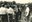 3 x 20 Saint-Jean-Sart Excursion 1964 - Lambert Jacquet011.jpg