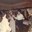 3 x 20 Saint-Jean-Sart Excursion 1969 - Lambert Jacquet004.jpg
