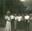Excursion des 3 x 20 de Saint-Jean-Sart en 1969