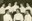 Groupe vocal Les "Chanteclair" en 1956-1957