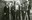 St-Hubert 1945 46 Rassemblement dans la cour chez Jean Broeckhans pour rejoindre la procession 033.jpg