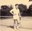 Aubel tennis club XXXX - Patricia Pauporté008.jpg