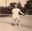 Aubel tennis club XXXX - Patricia Pauporté011.jpg