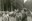 Unité scoute Camp de Grimonster du 01 au 10 juillet 1960 - Christian Haccour003.jpg