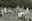 Lutins XXXX camp Haccour Anne-Marie 008.jpg