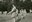 Lutins XXXX camp Haccour Bernadette- Haccour Anne-Marie 006.jpg