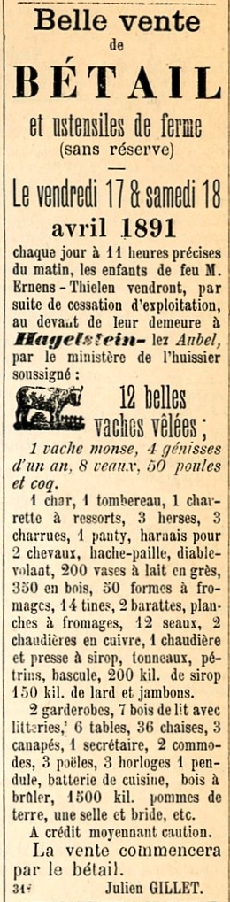 Vie quotidienne Journal d'Aubel 1891 - Haccour Christian001.jpg