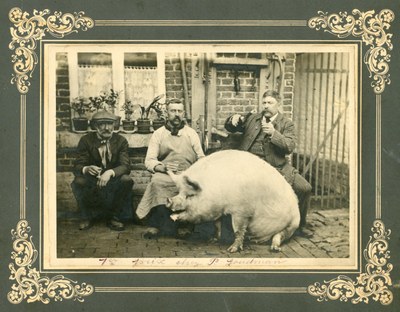 Le tueur de porcs
