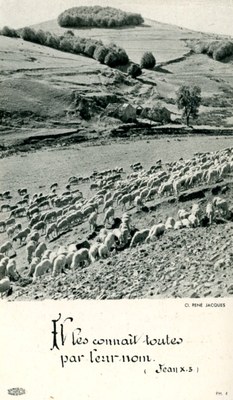 Ordination et Première Messe à Aubel