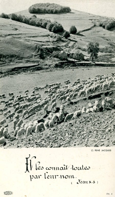 Première messe Herzet René 1960 - Lecloux-Baltus Marie-Josée 001.jpg