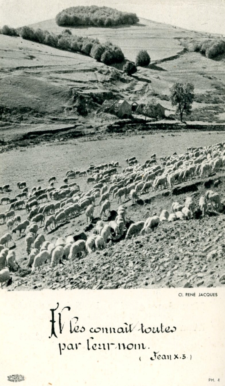 Première messe Herzet René 1960 - Lecloux-Baltus Marie-Josée 001.jpg