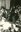 Première messe Joseph Halleux XXXX - Brée Yves007.jpg