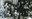 Première messe Joseph Halleux XXXX - Brée Yves008.jpg